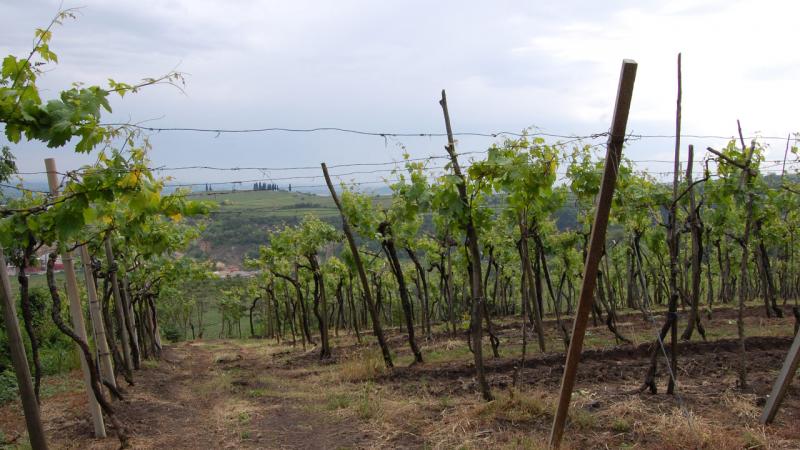Nardello