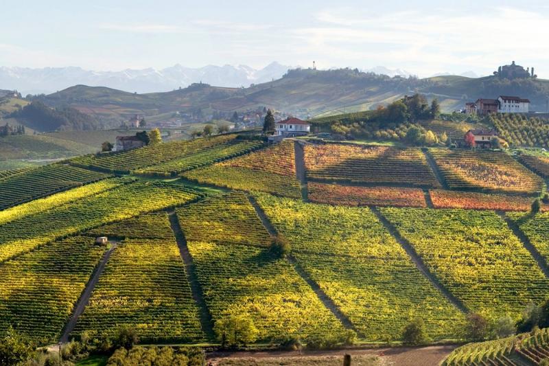 Negretti