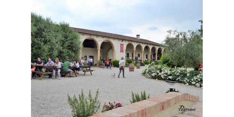 Cantina Pegoraro