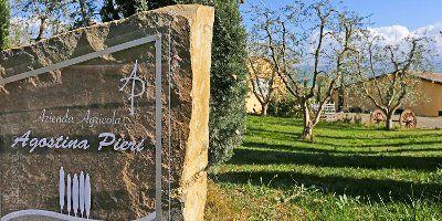 Pieri Agostina