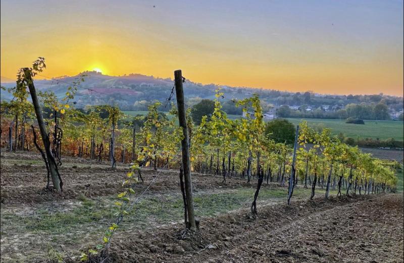 Podere Sotto Il Noce