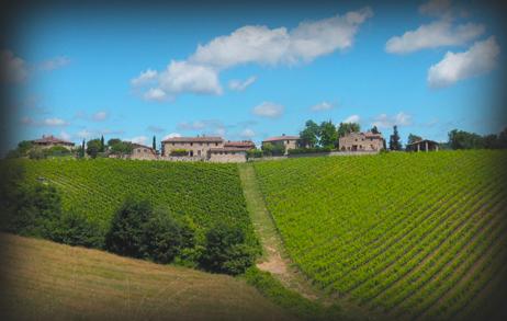 Podere il Palazzino