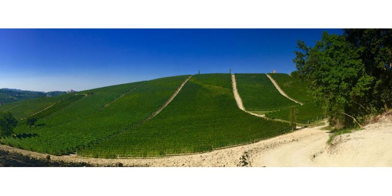 Poderi Giovanni Rosso
