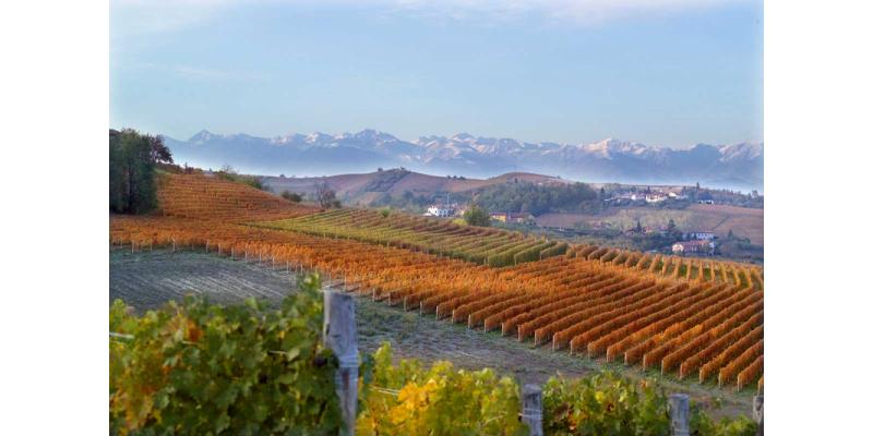 Poderi Luigi Einaudi