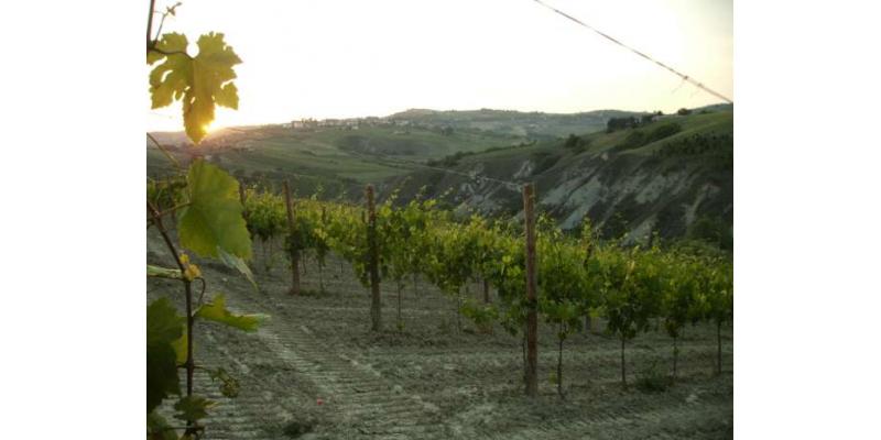 Poderi San Lazzaro