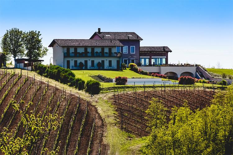 Prime Alture vini Cantina Casteggio (Pavia) Hello Taste