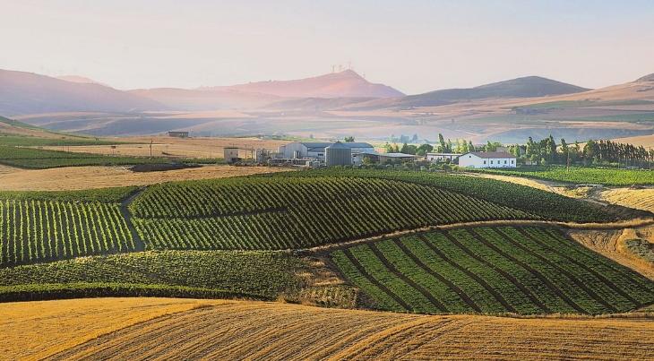 Principe di Corleone