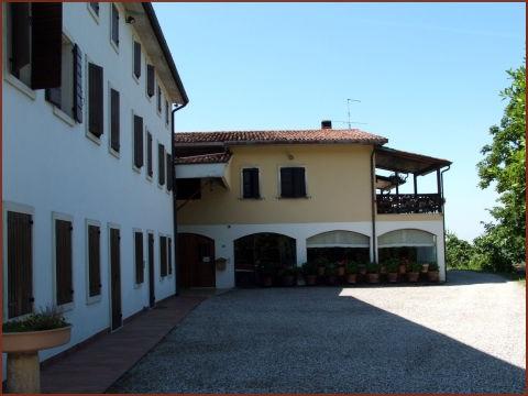Provolo