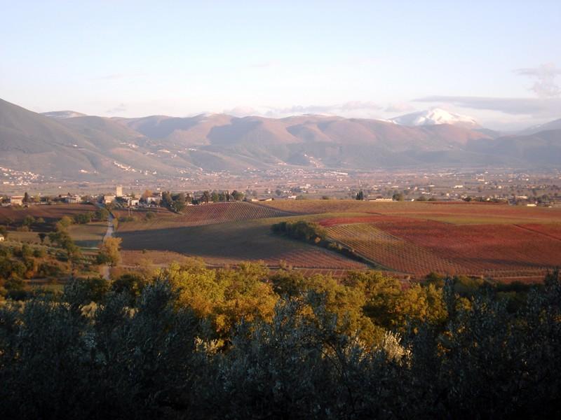 Rocca di Fabbri