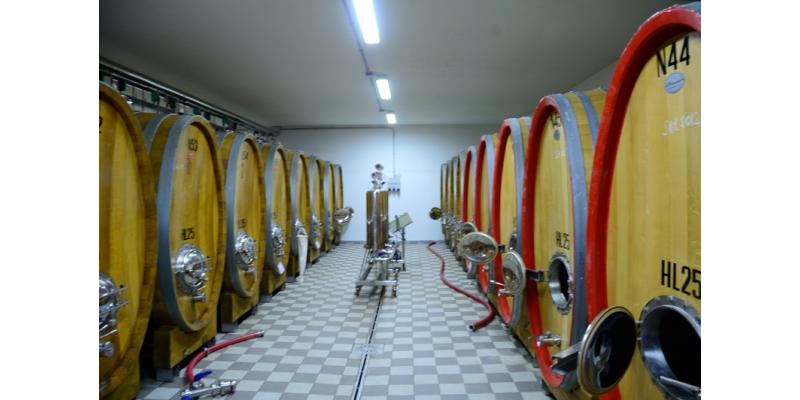 Ronco del Gelso