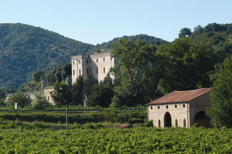 Salvan Vigne del Pigozzo