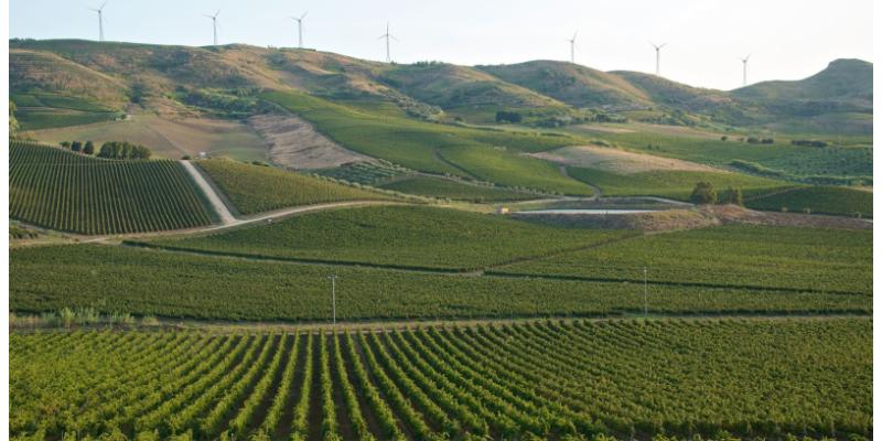 Tenuta Rapitalà