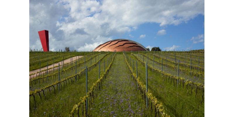 Tenuta Castelbuono