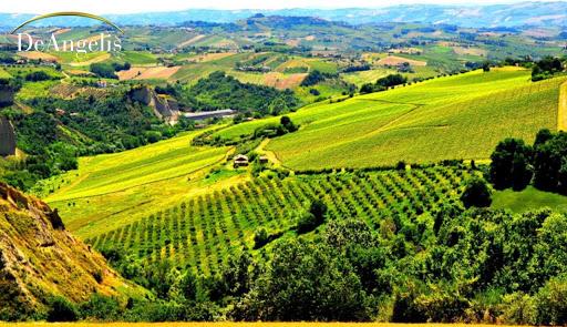 Tenuta De Angelis