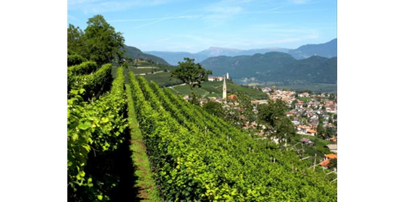 Tenuta J.Hofstatter