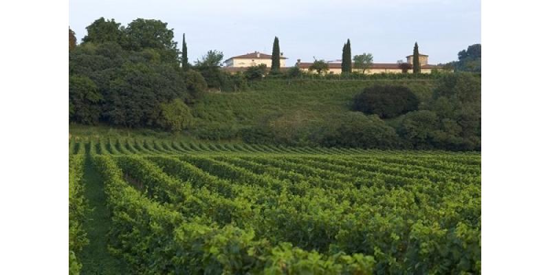 Tenuta Montenisa