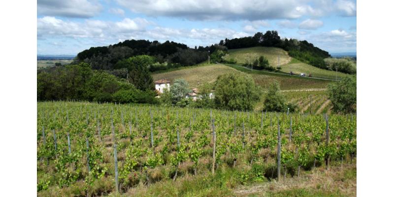 Tenuta San Pietro