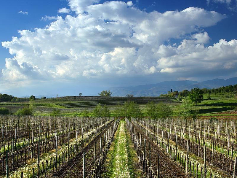 Tenuta Sant'Anna