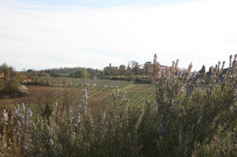 Tenuta Santa Cecilia