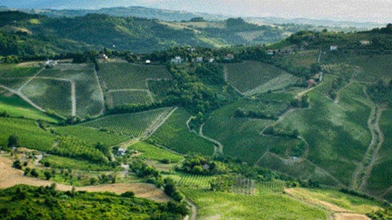 Tenuta Uccellina