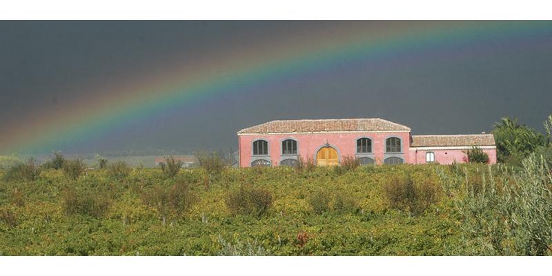 Tenuta delle Terre Nere
