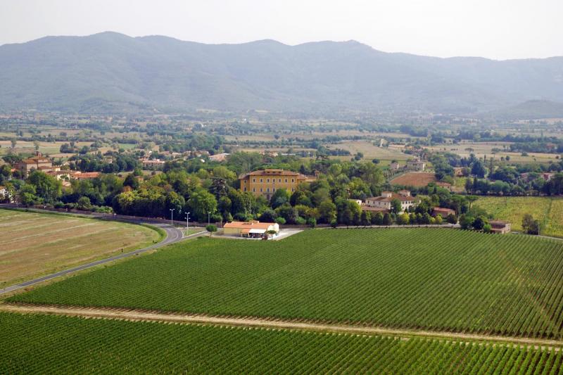 Tenuta di Frassineto