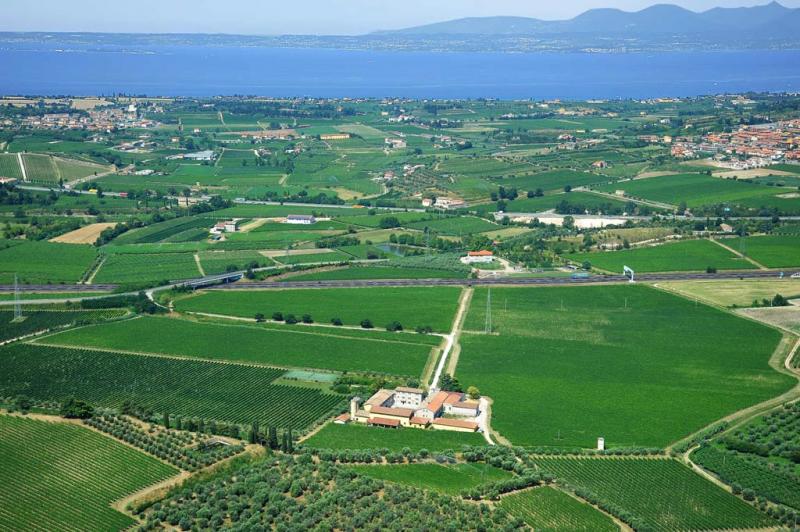 Tenuta di Naiano Bellora