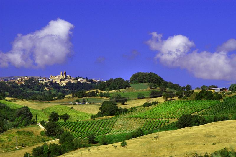 Terre di San Ginesio