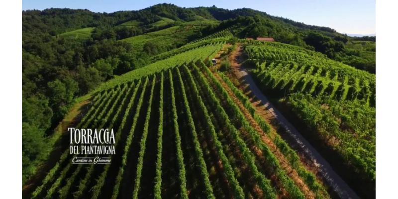 Torraccia del Piantavigna