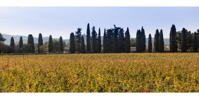 Feudi di S. Gregorio a Bolghero