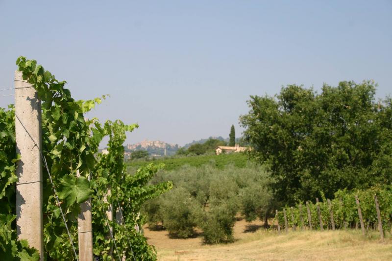 Valdangius