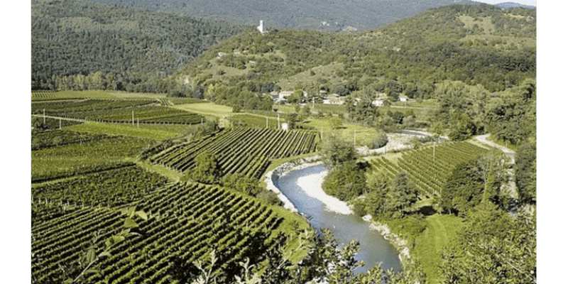 Vigna Petrussa