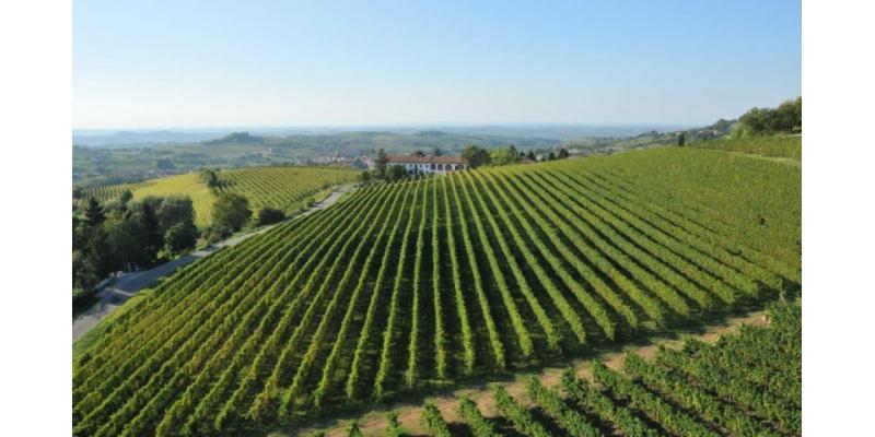 Vigne dei Mastri