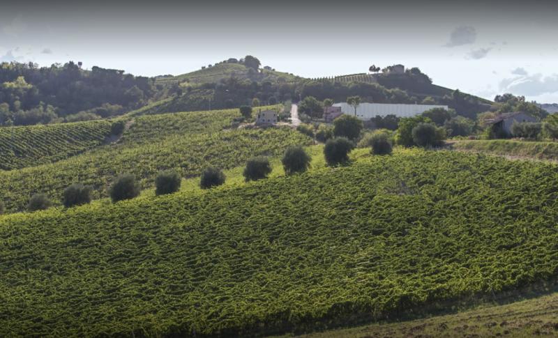 Villa Pigna