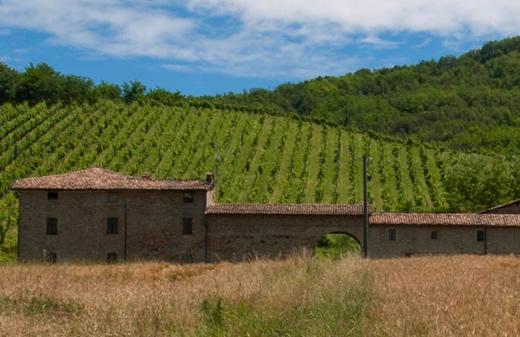 Cantine Campana