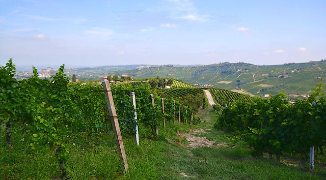 Cascina Carlot