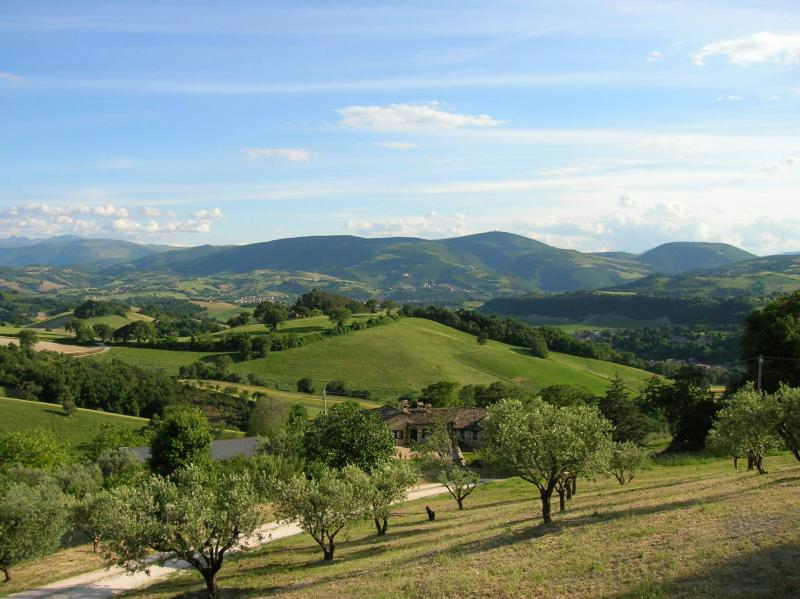 Fattoria Colmone della Marca