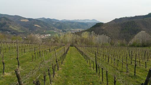 Fondo San Giuseppe