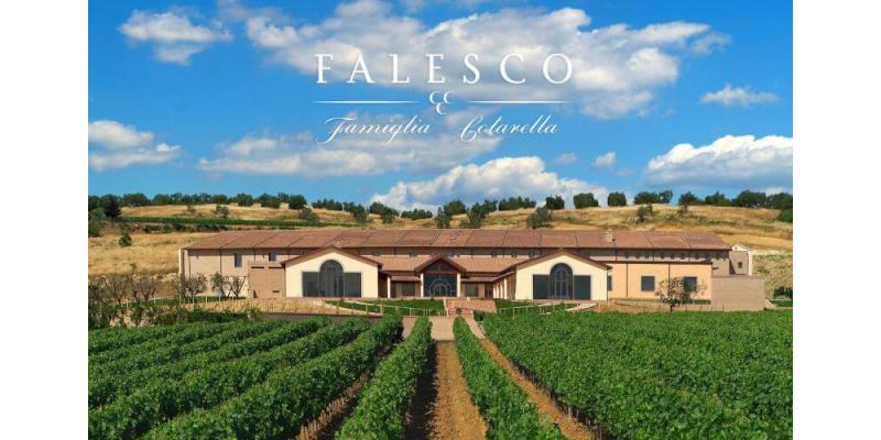 Azienda vinicola Falesco