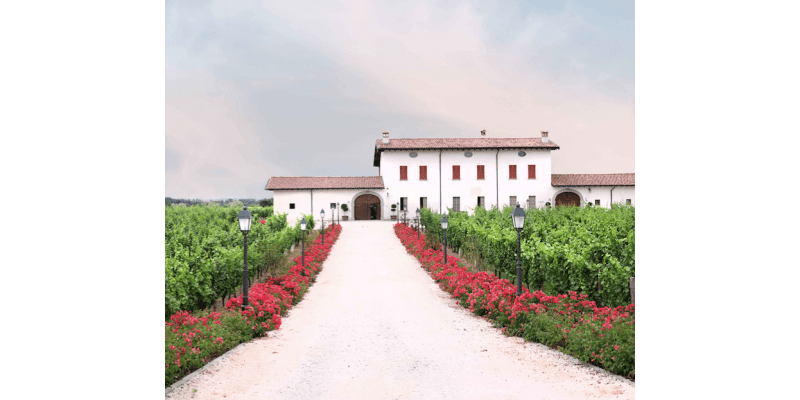 Tenuta Ambrosini