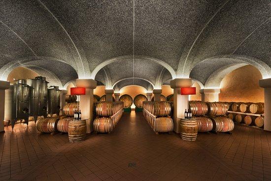 Cavazza vini - Cantina Montebello Vicentino (Vicenza) | Hello Taste