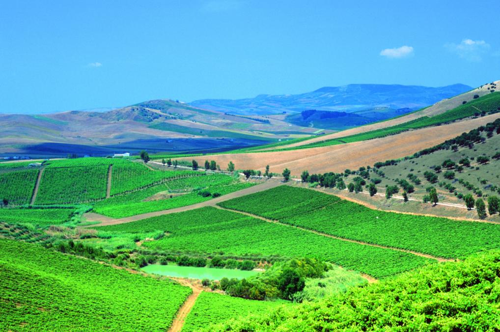 Spadafora vini Cantina Mangone (Cosenza) Hello Taste