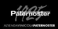 Logo Paternoster