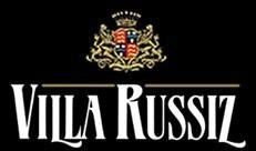 Logo Fondazione Villa Russiz