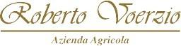 Logo Roberto Voerzio