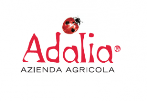 Adalia logo