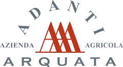 Logo Adanti