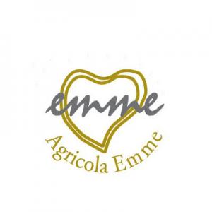 Agricola Emme Logo