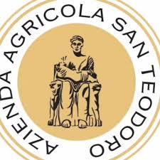 Agricola San Teodoro logo
