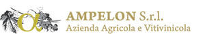 Ampelon logo